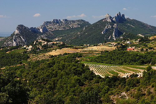 Les dentelles de montmirail en Provence, photo pascal lando